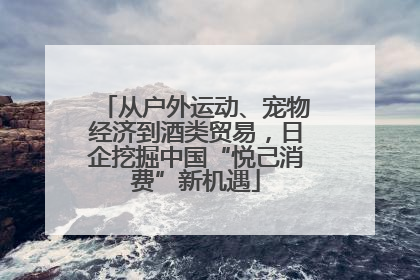 从户外运动、宠物经济到酒类贸易，日企挖掘中国“悦己消费”新机遇
