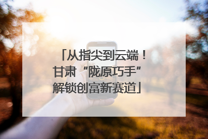 从指尖到云端！甘肃“陇原巧手”解锁创富新赛道