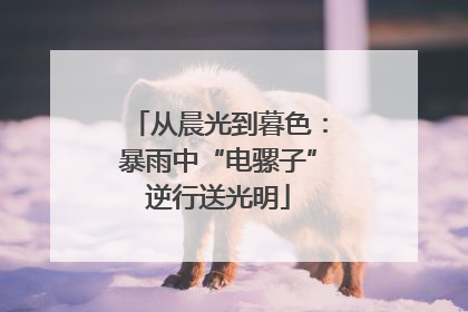 从晨光到暮色：暴雨中“电骡子”逆行送光明