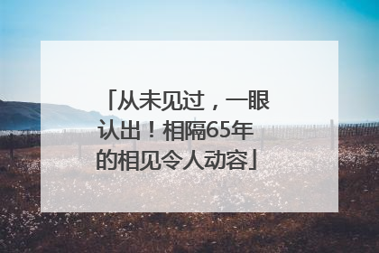 从未见过，一眼认出！相隔65年的相见令人动容