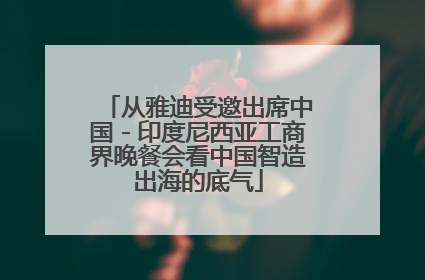 从雅迪受邀出席中国－印度尼西亚工商界晚餐会看中国智造出海的底气