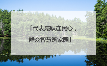 代表履职连民心，群众智慧筑家园