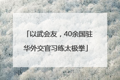 以武会友，40余国驻华外交官习练太极拳