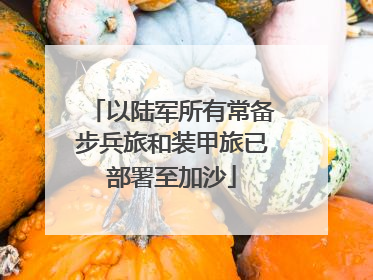 以陆军所有常备步兵旅和装甲旅已部署至加沙