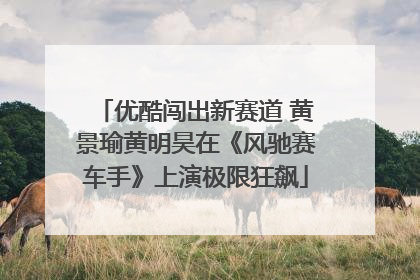 优酷闯出新赛道 黄景瑜黄明昊在《风驰赛车手》上演极限狂飙