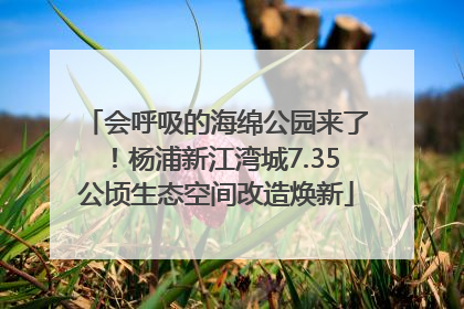 会呼吸的海绵公园来了！杨浦新江湾城7.35公顷生态空间改造焕新