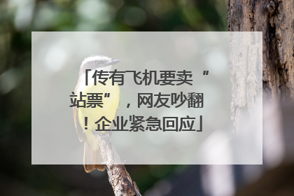 传有飞机要卖“站票”，网友吵翻！企业紧急回应