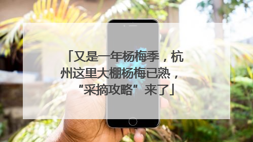 又是一年杨梅季，杭州这里大棚杨梅已熟，“采摘攻略”来了