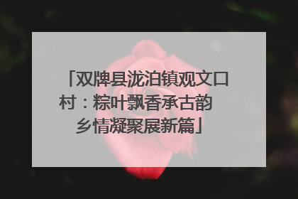 双牌县泷泊镇观文口村：粽叶飘香承古韵 乡情凝聚展新篇