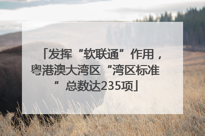 发挥“软联通”作用，粤港澳大湾区“湾区标准”总数达235项