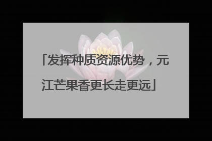 发挥种质资源优势，元江芒果香更长走更远