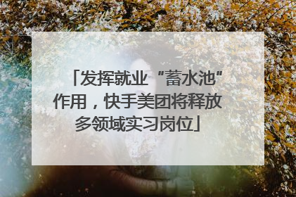 发挥就业“蓄水池”作用，快手美团将释放多领域实习岗位