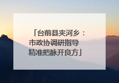 台前县夹河乡：市政协调研指导 精准把脉开良方