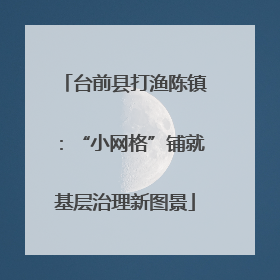 台前县打渔陈镇：“小网格”铺就基层治理新图景