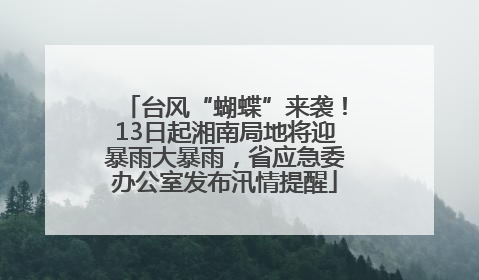 台风“蝴蝶”来袭！13日起湘南局地将迎暴雨大暴雨，省应急委办公室发布汛情提醒