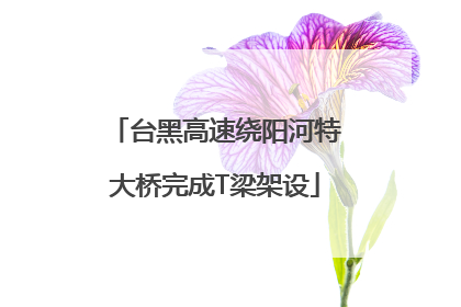 台黑高速绕阳河特大桥完成T梁架设