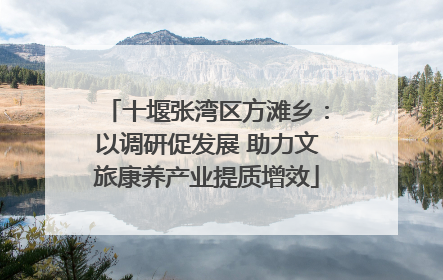 十堰张湾区方滩乡：以调研促发展 助力文旅康养产业提质增效