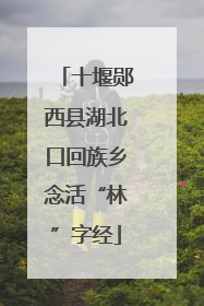 十堰郧西县湖北口回族乡念活“林”字经
