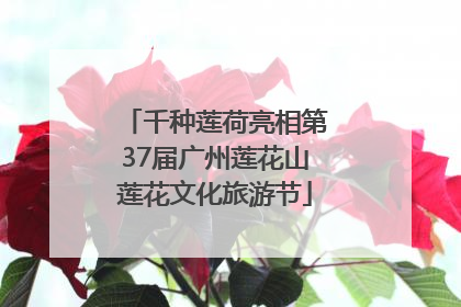 千种莲荷亮相第37届广州莲花山莲花文化旅游节