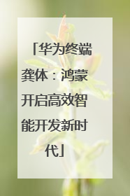 华为终端龚体：鸿蒙开启高效智能开发新时代