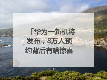 华为一新机将发布，8万人预约背后有啥惊喜？｜热财经