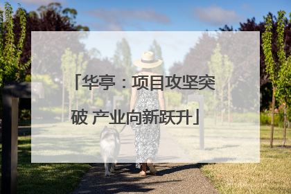 华亭：项目攻坚突破 产业向新跃升