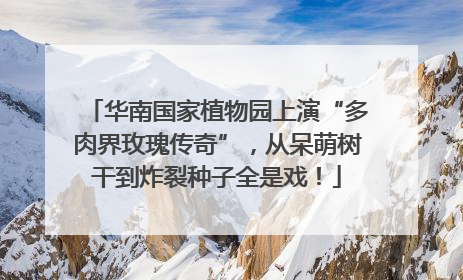 华南国家植物园上演“多肉界玫瑰传奇”，从呆萌树干到炸裂种子全是戏！
