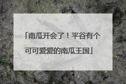 南瓜开会了！平谷有个可可爱爱的南瓜王国