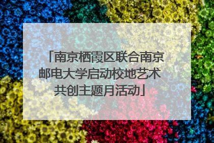 南京栖霞区联合南京邮电大学启动校地艺术共创主题月活动