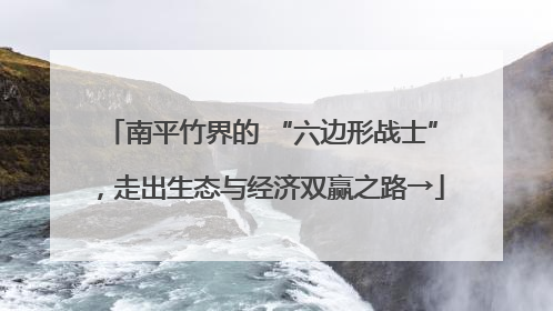 南平竹界的 “六边形战士”，走出生态与经济双赢之路→