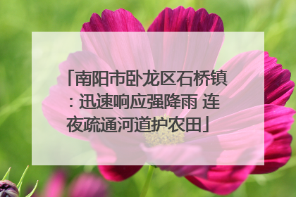 南阳市卧龙区石桥镇：迅速响应强降雨 连夜疏通河道护农田