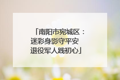 南阳市宛城区：迷彩身影守平安 退役军人践初心