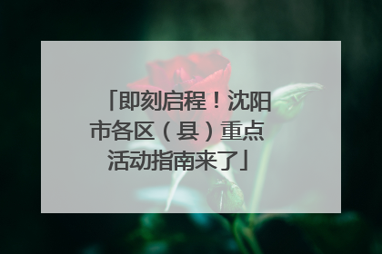 即刻启程！沈阳市各区（县）重点活动指南来了