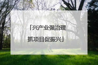 兴产业强治理 抓项目促振兴