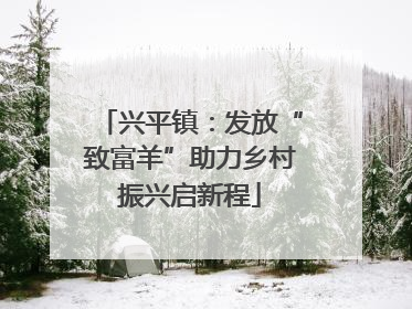 兴平镇：发放“致富羊”助力乡村振兴启新程