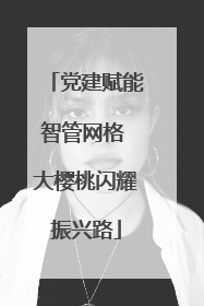 党建赋能智管网格 大樱桃闪耀振兴路