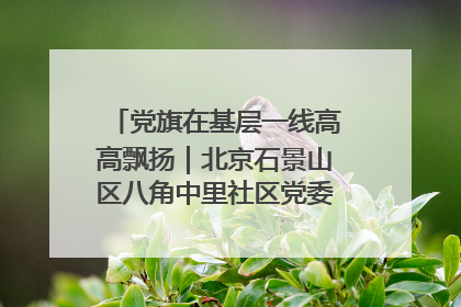 党旗在基层一线高高飘扬｜北京石景山区八角中里社区党委：用脚步丈量民生