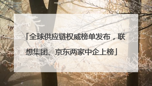 全球供应链权威榜单发布，联想集团、京东两家中企上榜
