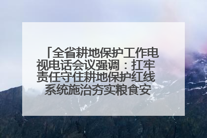 全省耕地保护工作电视电话会议强调：扛牢责任守住耕地保护红线 系统施治夯实粮食安全根基 王宁作出批示 王予波出席并讲话