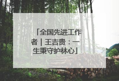 全国先进工作者｜王吉贵：一生秉守护林心