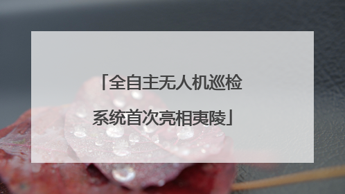 全自主无人机巡检系统首次亮相夷陵