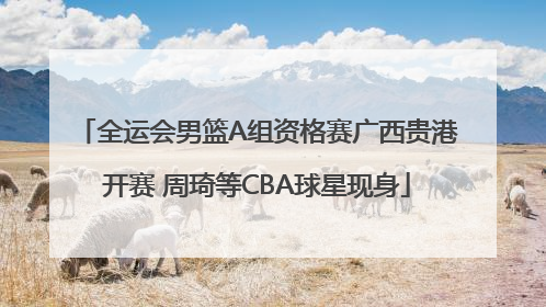 全运会男篮A组资格赛广西贵港开赛 周琦等CBA球星现身