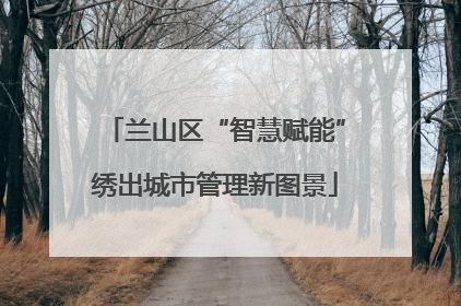 兰山区“智慧赋能”绣出城市管理新图景
