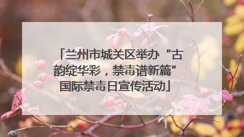 兰州市城关区举办“古韵绽华彩，禁毒谱新篇”国际禁毒日宣传活动