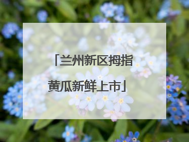 兰州新区拇指黄瓜新鲜上市
