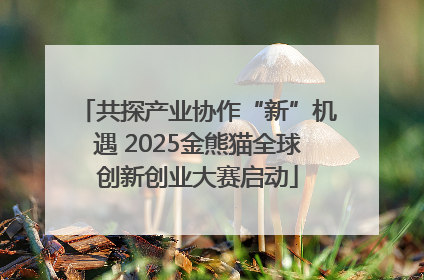 共探产业协作“新”机遇 2025金熊猫全球创新创业大赛启动