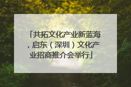 共拓文化产业新蓝海，启东（深圳）文化产业招商推介会举行