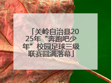 关岭自治县2025年“奔跑吧少年”校园足球三级联赛圆满落幕