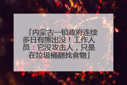 内蒙古一镇政府连续多日有熊出没！工作人员：它没攻击人，只是在垃圾桶翻找食物