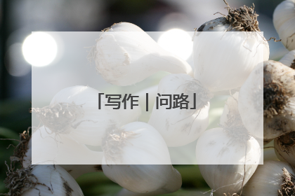 写作｜问路